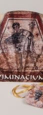 Lepeze Viminacium
